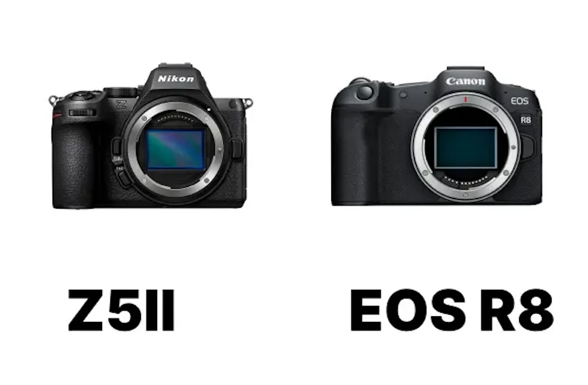 2026年版】Nikon Z5IIとCanon EOS R8を徹底比較！静止画・動画・操作性